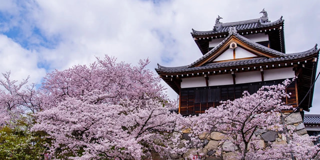 大和郡山市
